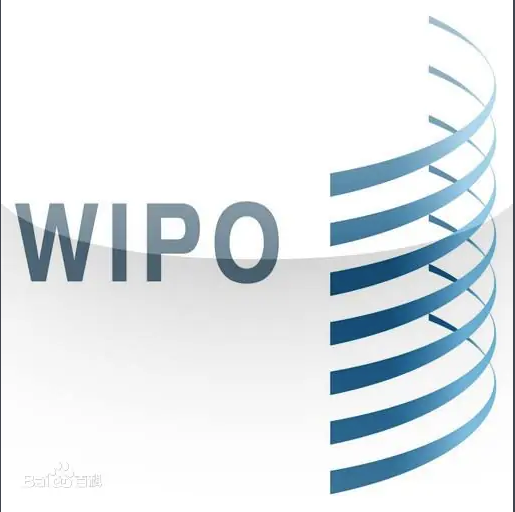 WIPO֪ʶȨʵ2021