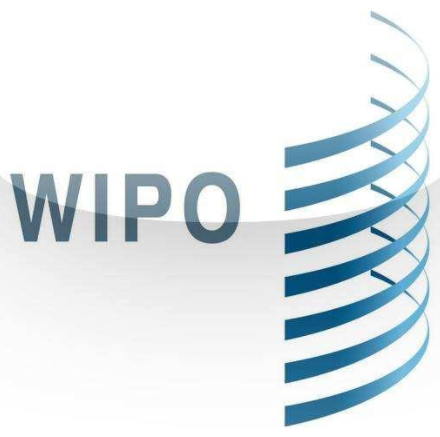 WIPO2025ϵ