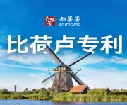 比荷卢专利