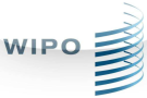 WIPO发布技术转移专业人员知识产权估值指南