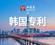 韩国专利