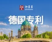 德国专利